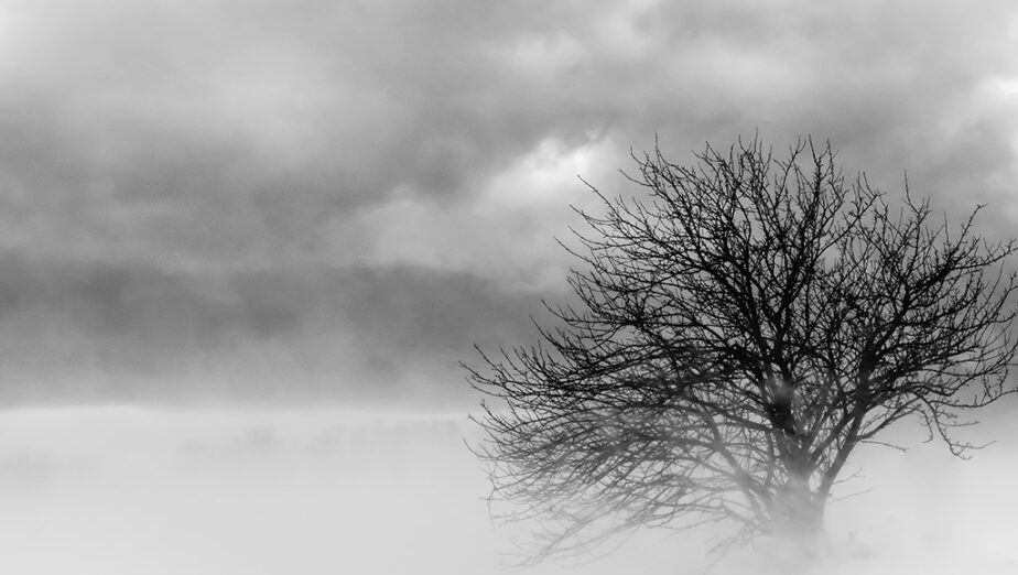Winter series