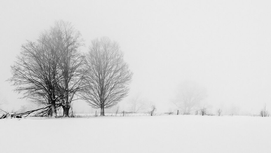 Winter Calm