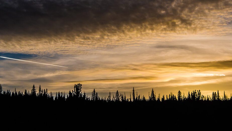 Last Light