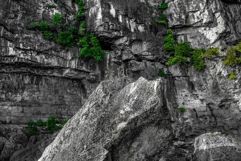 Mountain Side